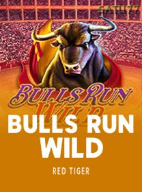 Bulls Run Wild game cover