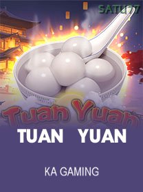 Tuan Yuan game cover